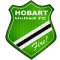 Hobart United II logo