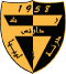 Darnes SC logo