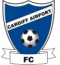 Cardiff Airport logo