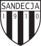 Sandecja Youth logo