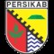 Persikab Bandung logo