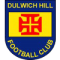 Dulwich Hill SC logo