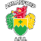 Ammanford logo