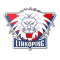 Linkopings(w) logo