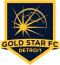 Gold Star FC Detroit logo