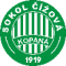 Sokol Cizova logo