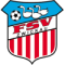 FSV Zwickau logo