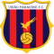 Uniao Paraense(w) logo