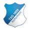 Hoffenheim U19 logo