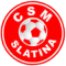 CSM Slatina logo