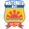 Waitemata FC logo