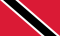 Trinidad Tobago Indoor Soccer logo