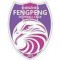 Shenzhen Fengpeng logo