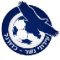 Ironi Nesher U19 logo