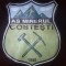 Minerul Costesti logo