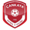 Cankaya FK logo