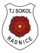 TJ Sokol Radnice logo