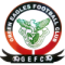 Young Green Eagles logo