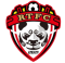 Guangdong Red Treasure FC logo