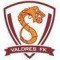 Valdres FK logo