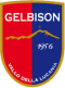 Gelbison U19 logo