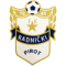 Radnicki Pirot logo