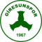 Giresunspor U19 logo