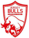 Jersey Bulls logo