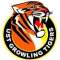 UST Growling Tigers logo