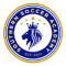 Southern Soccer Academy(w) logo