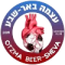 Otzma Beer Sheva logo