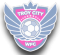 Troy City WFC (W) logo