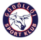 Godollo logo