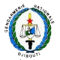 CF Gendarmerie Nationale logo