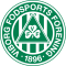 Viborg U17 logo