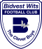 Bidvest Wits logo