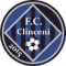 Clinceni College B logo