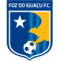 Foz do Iguacu PR logo