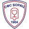 FK SFS Borac logo