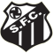 Santos AP (Youth) logo