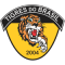 Tigres Brasil logo