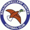 Ballinamallard logo