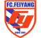 Anshan Feiyang FC logo