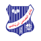 Al Ttadamon logo