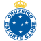 Cruzeiro MG U20 logo