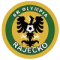 SK Olympia Rajecko logo