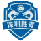 Shenzhen Nanshan Shengqing logo