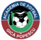 Academia Gica Popescu U19 logo