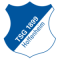 Hoffenheim Youth logo