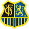 Saarbrucken U17 logo